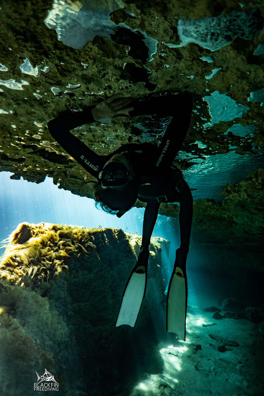 freediving cenotes Mexico