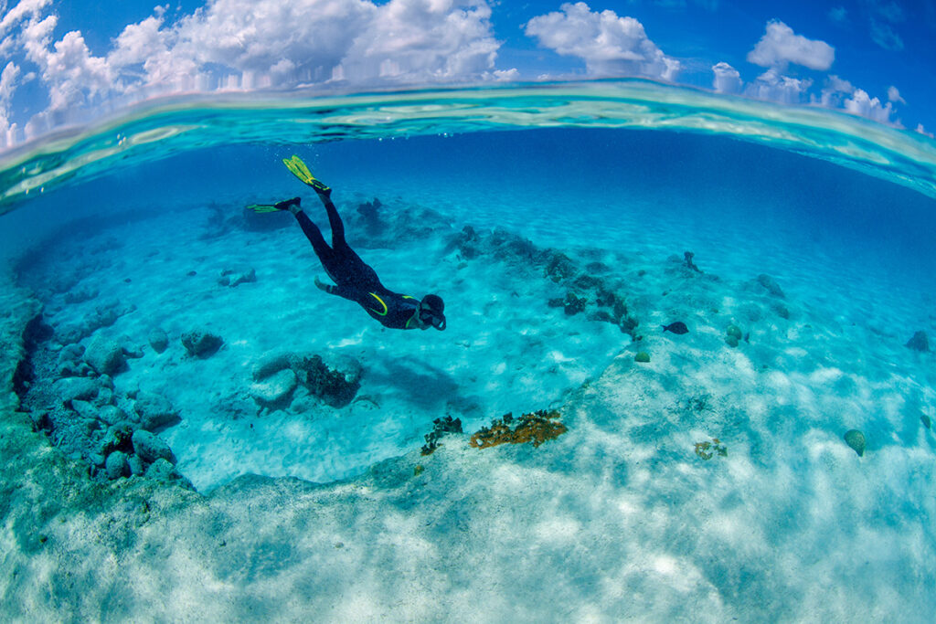 Bonaire Plein Duikvaker