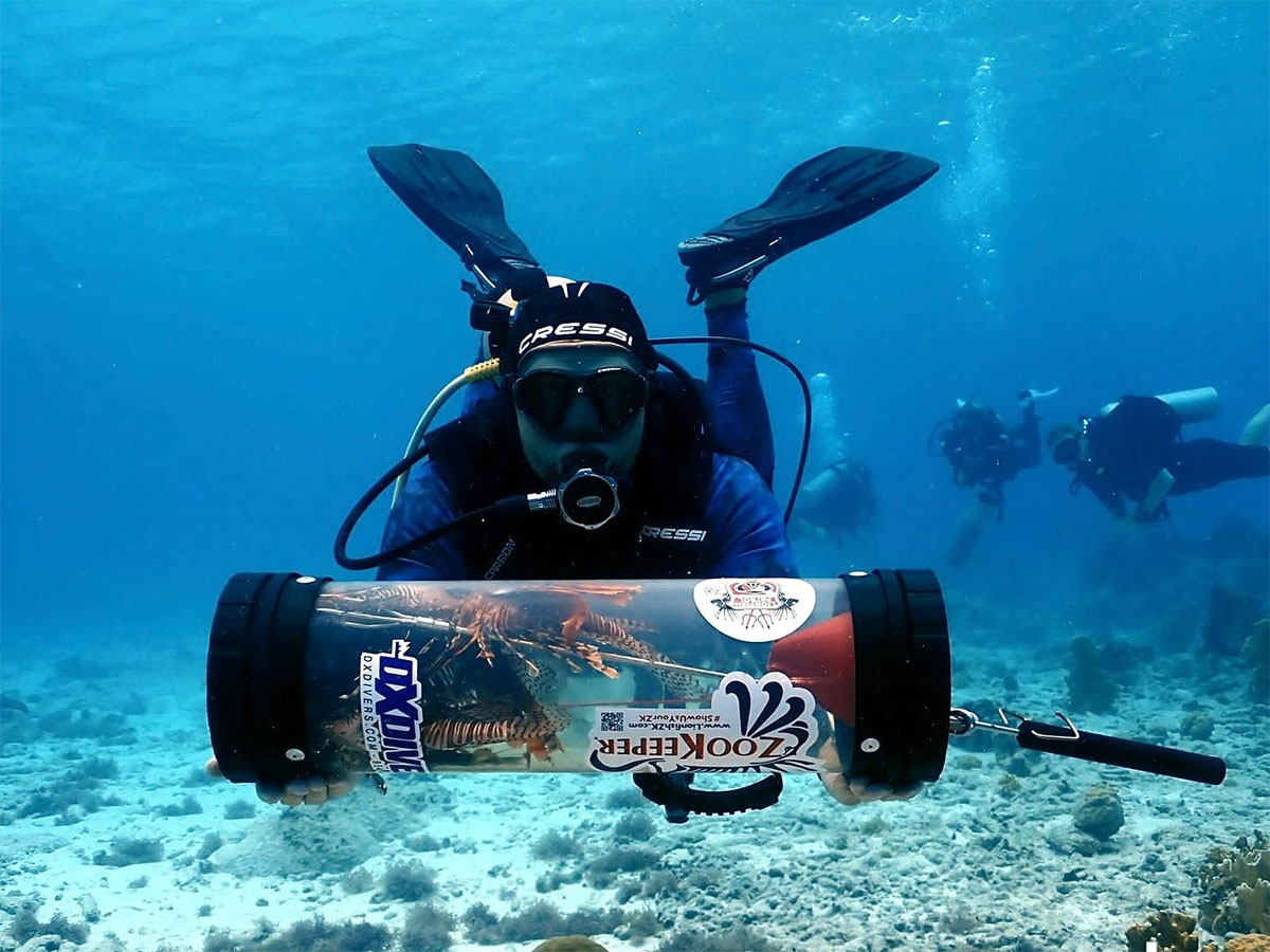 Bonaire Plein Duikvaker