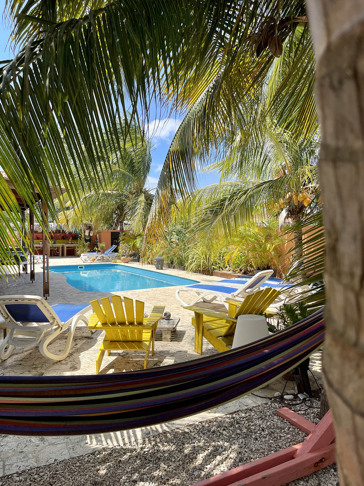 Bonaire Plein Duikvaker