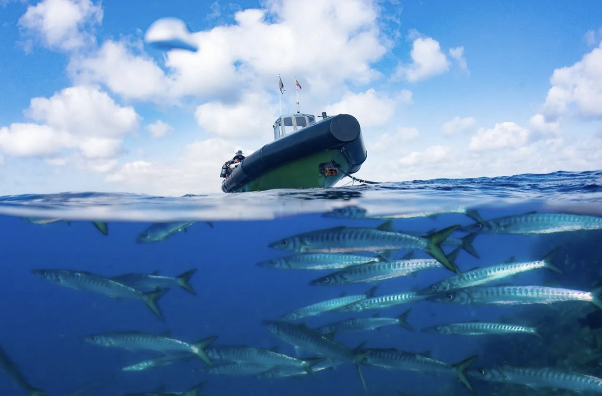 MANGAMAR Dive Center