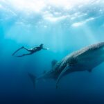 Agulhas, MOKARRAN FREEDIVING MASK, CEPEDIANUS SNORKEL