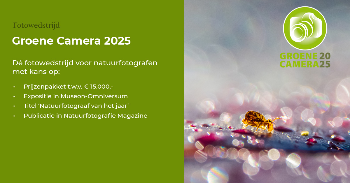 De Groene Camera 2025