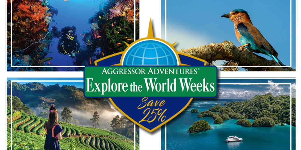 Aggressor Adventures