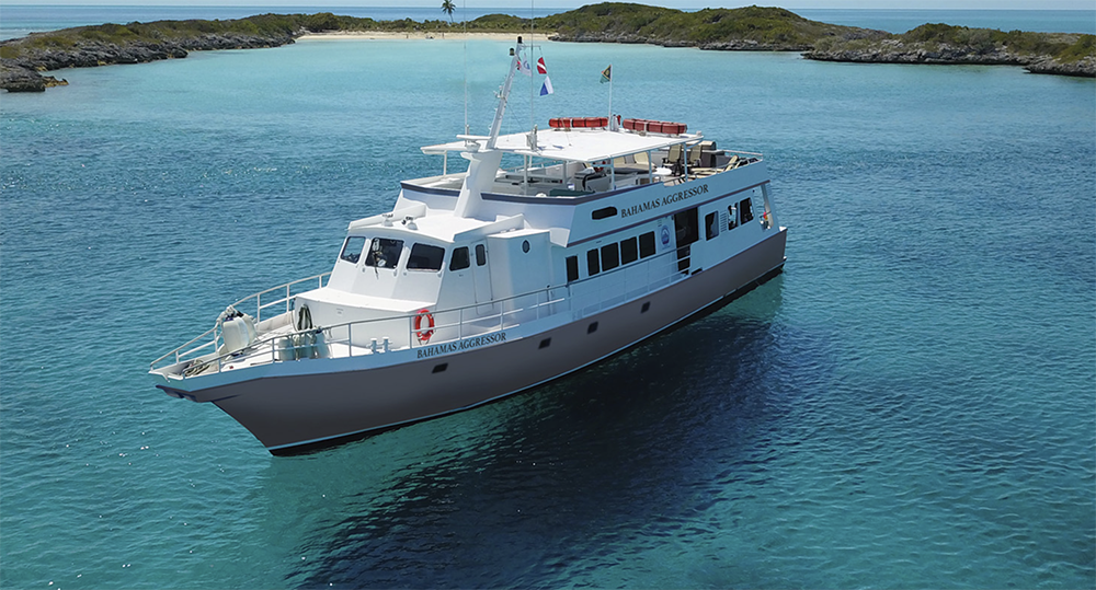 Korting van $ 900 op Bahamas Aggressor I Escapes
