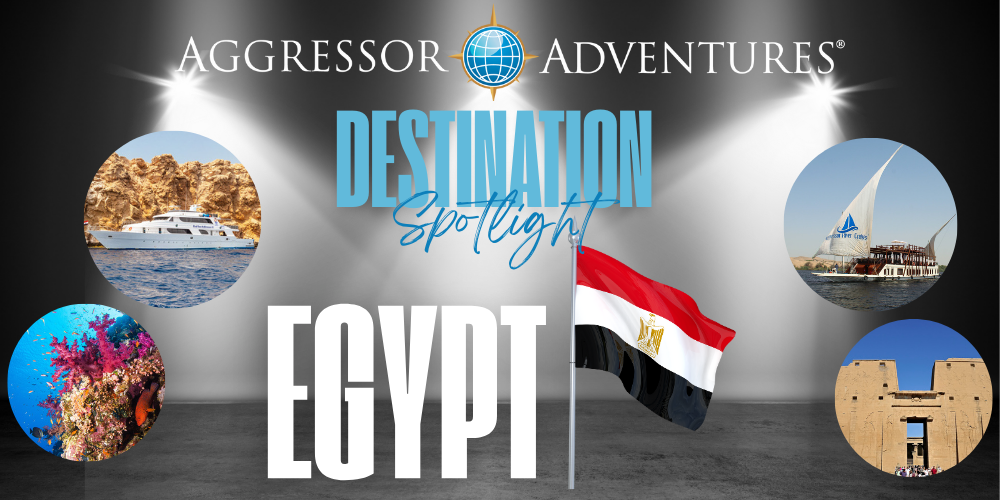 Aggressor Adventures