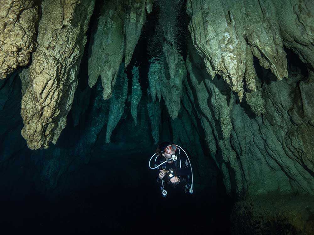 Palau Aggressor II Liveaboard