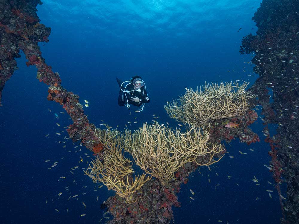 Palau Aggressor II Liveaboard