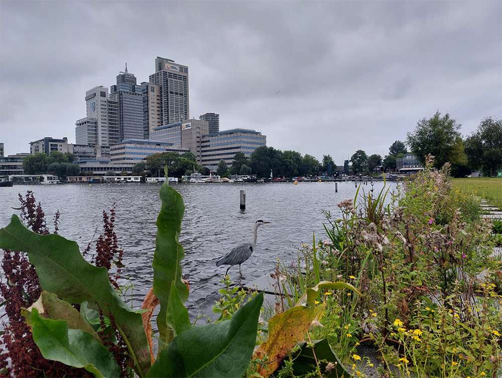 Annabel Médard open water zwemmen