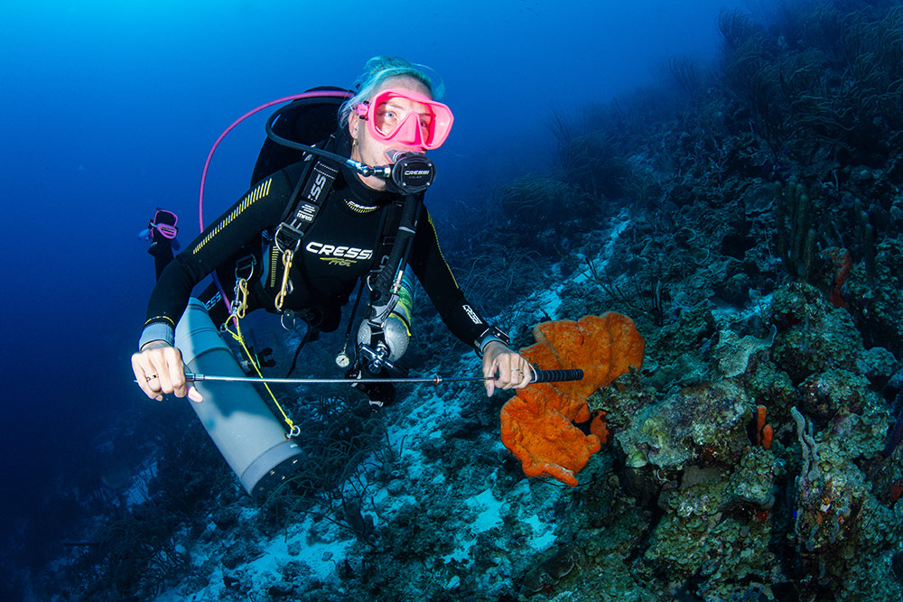 Private Divers Bonaire lionfish