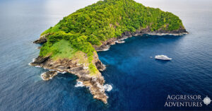 Aggressor Adventures Cup of Joe