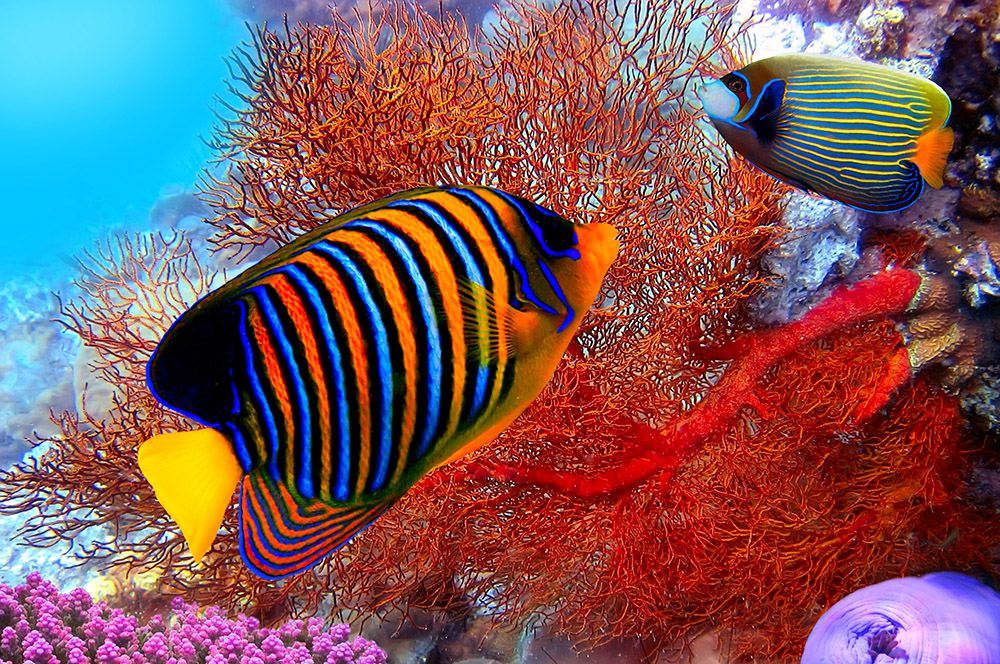 LUMBALUMBA RESORT IN MANADO – INDONESIA