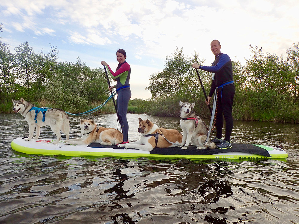 Hondensup Loosdrecht