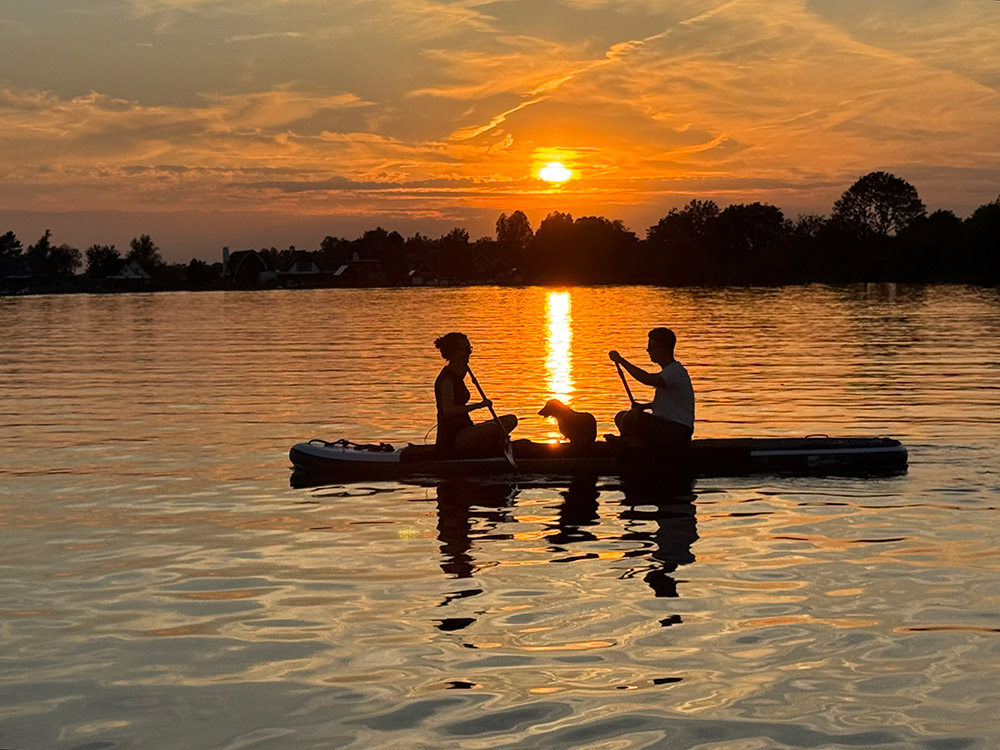 Hondensup Loosdrecht