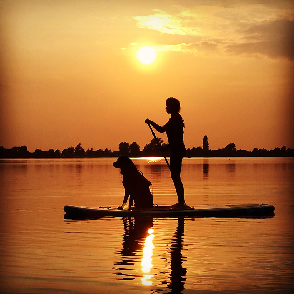 HondenSUP Loosdrecht