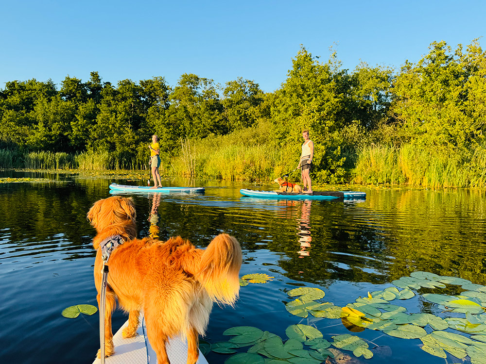 HondenSUP Loosdrecht