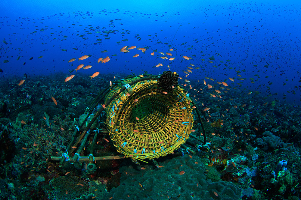 reizen naar Indonesië Merapi Tour & Travel