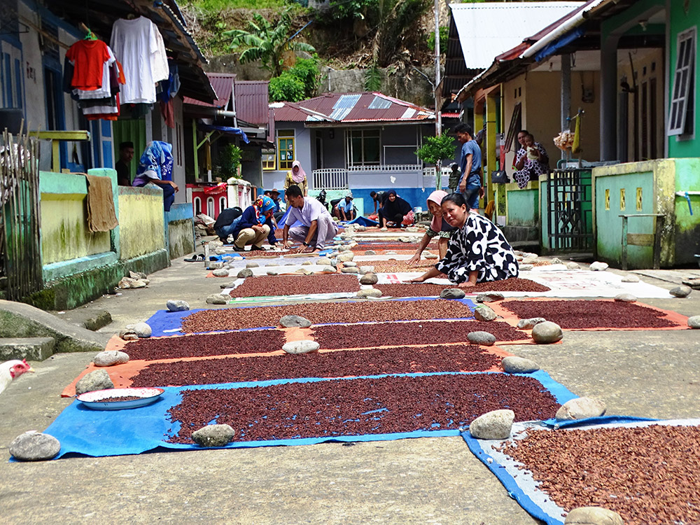 reizen naar Indonesië Merapi Tour & Travel