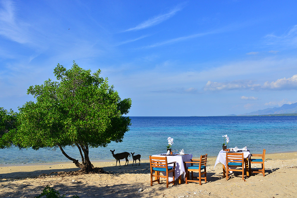 reizen naar Indonesië Merapi Tour & Travel