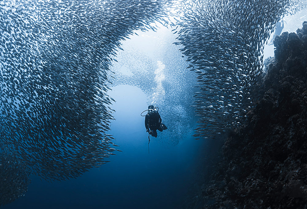 Magic Resorts Philippines