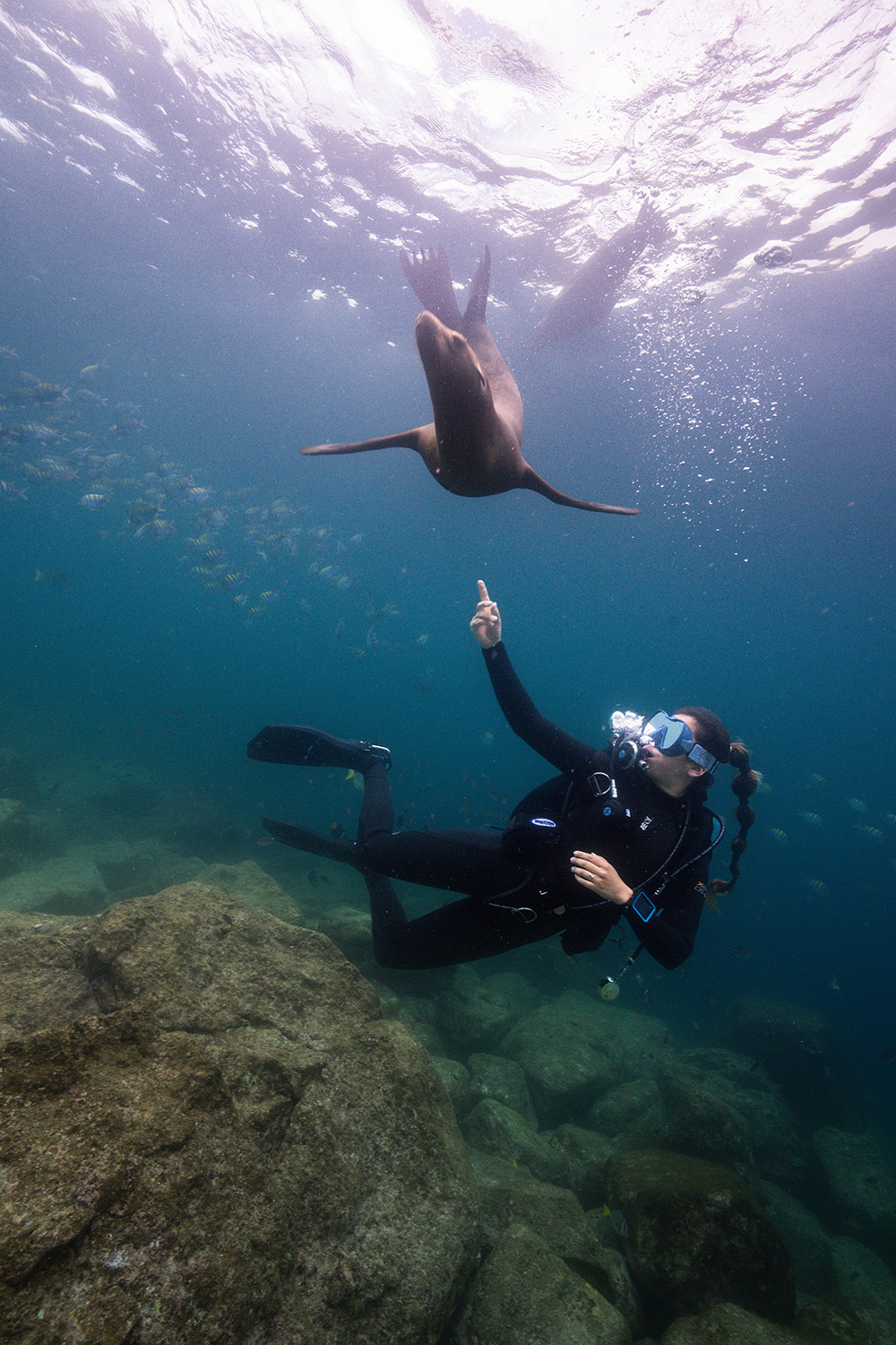 Fourth Element Xenos ARC wetsuit natpak