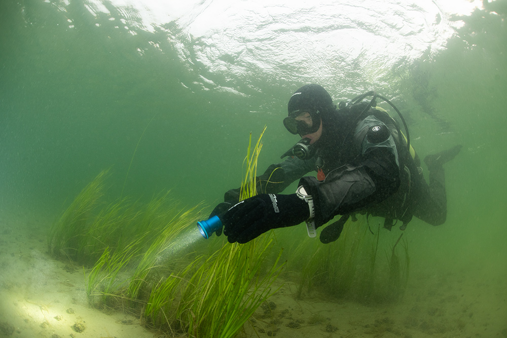 Camaro Drytec Air en Protec Air