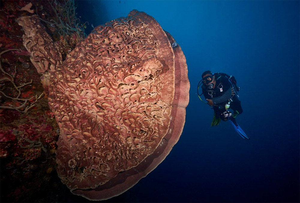 reizen naar Indonesië Merapi Tour & Travel