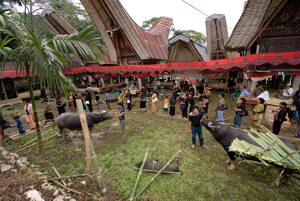 reizen naar Indonesië Merapi Tour & Travel