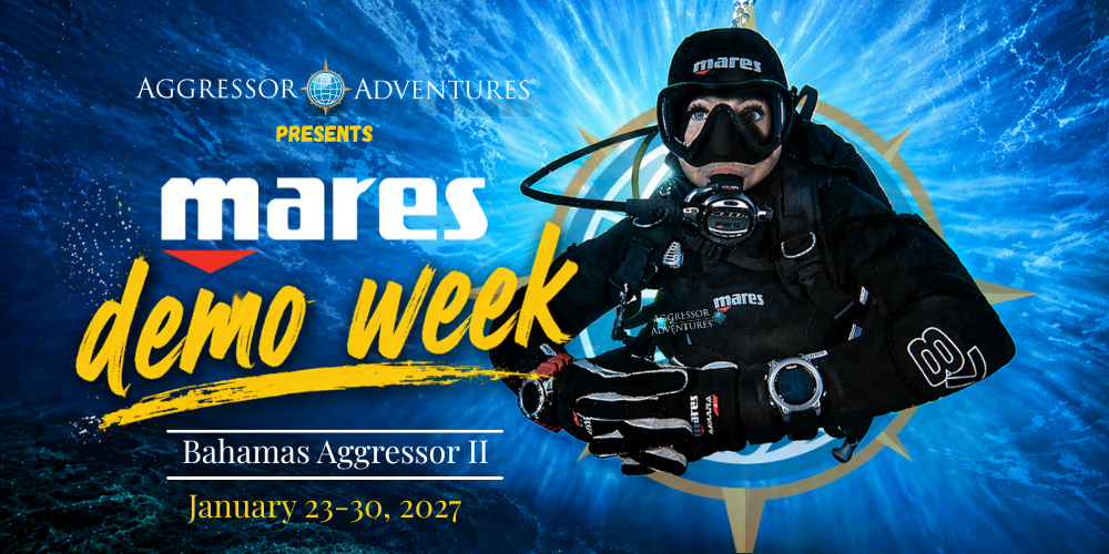 trimvesten, ademautomaten, duikcomputers, maskers