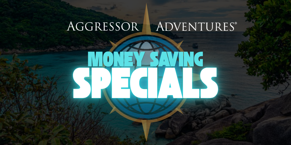 Aggressor Adventures