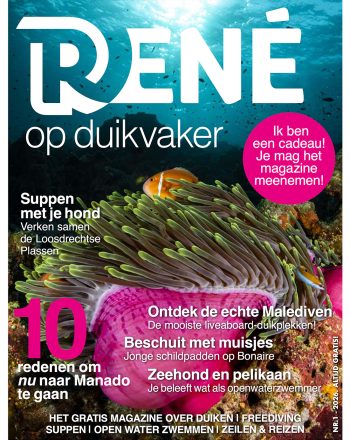 Rene Magazine Uitgave 1-2026: Duikvaker