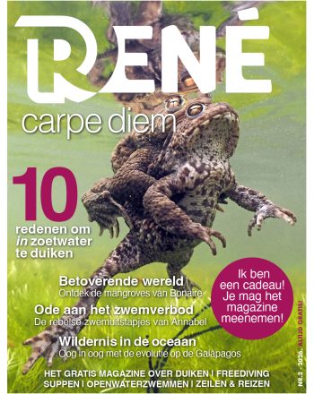 RENE Magazine editie 2 2026, Carpe diem